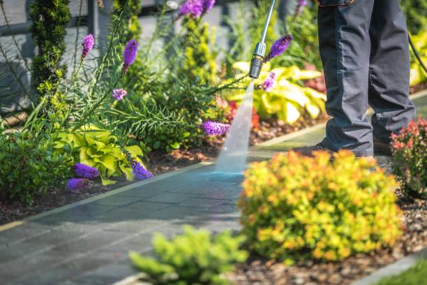Best Gutter Cleaning  in Cannon Falls, MN